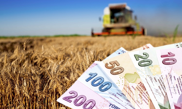 Çiftçinin merakla beklediği Tarımsal Destekleme Kararı yayımlandı