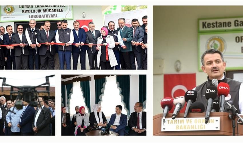 BİR İLK: İHA (DRONE) İLE KESTANE GAL ARISI İLE MÜCADELE PROJESİ