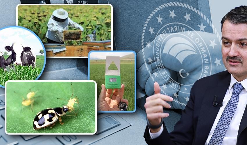 BUGÜN ÜRETİCİLERE 331 MİLYON 637 BİN LİRALIK DESTEK ÖDEMESİ YAPILACAK