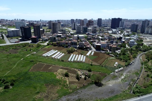İstanbul’un merkezindeki seralarda tarım başladı